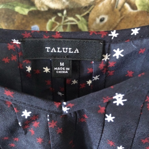 Talula Aritzia Navy Blue Flower Camisole tank - Picture 2 of 11